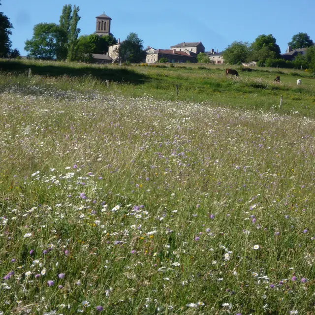Mairie du Mas de Tence_Le Mas-de-Tence