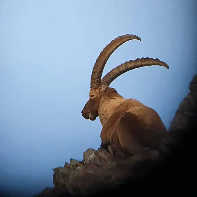 Bureau des Guides et Accompagnateurs de Briançon