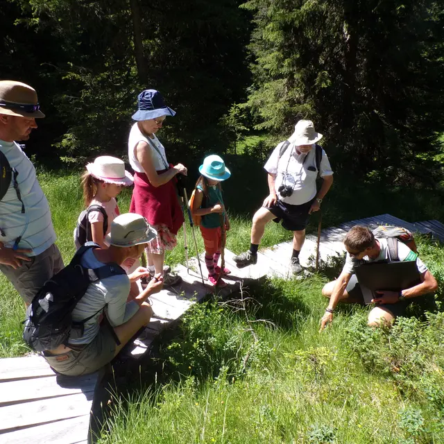 Visite guidée du sentier des Arpelières - animaux des tourbières_Les Saisies