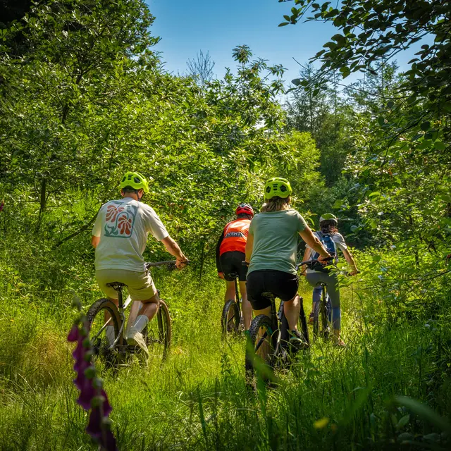Étape 4 - Tour VTT du Pays Roannais - Saint-Martin-d'Estréaux > Roanne_Saint-Martin-d'Estréaux