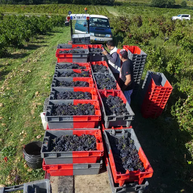 Domaine Jérôme Gradassi