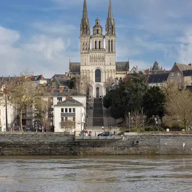 Cathédrale Saint-Maurice_Angers