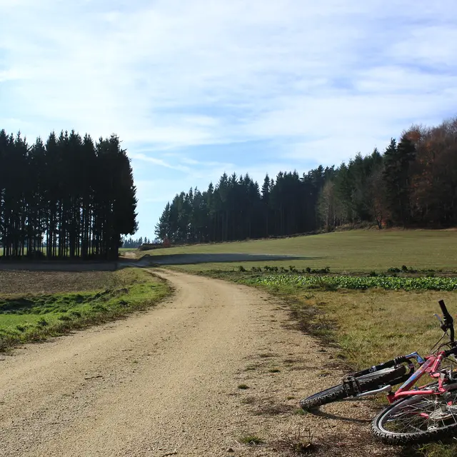 La roche du diable - circuit VTT