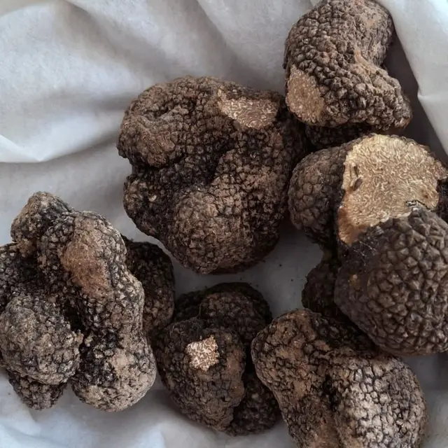 2e Marché Complice à la truffe d'été_Richerenches