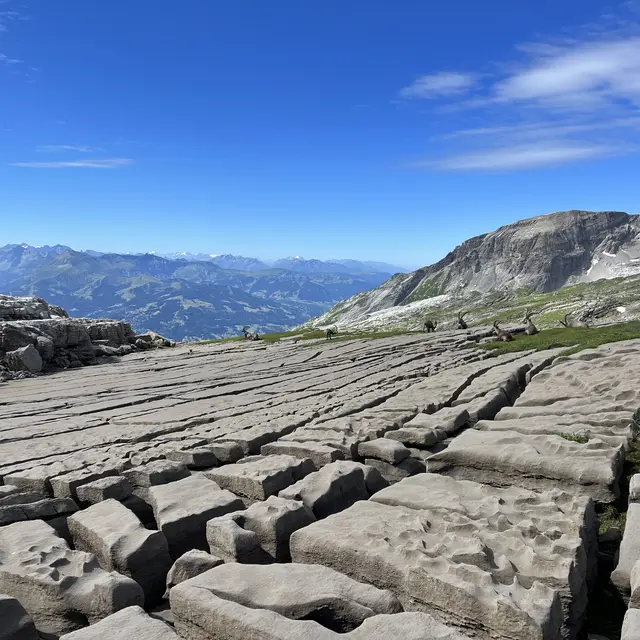 Flaine-Mountain-Philippe-Clerc-Sortie-Randonnee-Desert-Plate