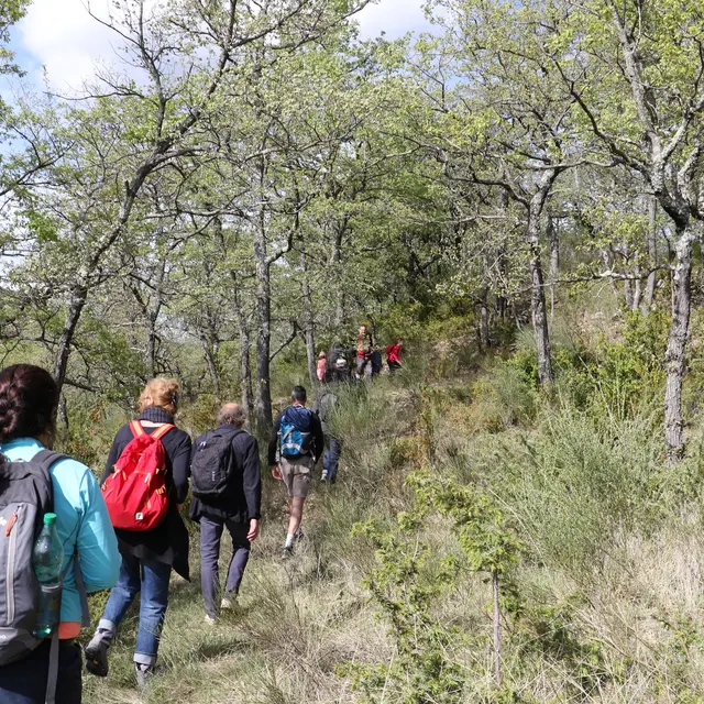 Balade À la découverte des trésors cachés du site de la Thomassine_Manosque
