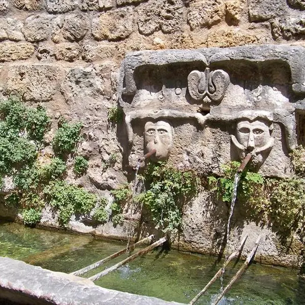 Fontaine du Murier