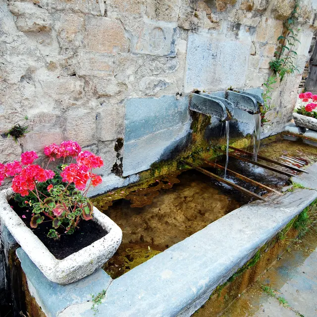 fontaine vieille