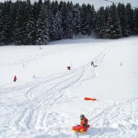 Luge à la Ruchère - St Christophe sur Guiers