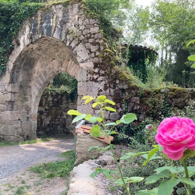 A la découverte du site médiéval de Donzy_Salt-en-Donzy