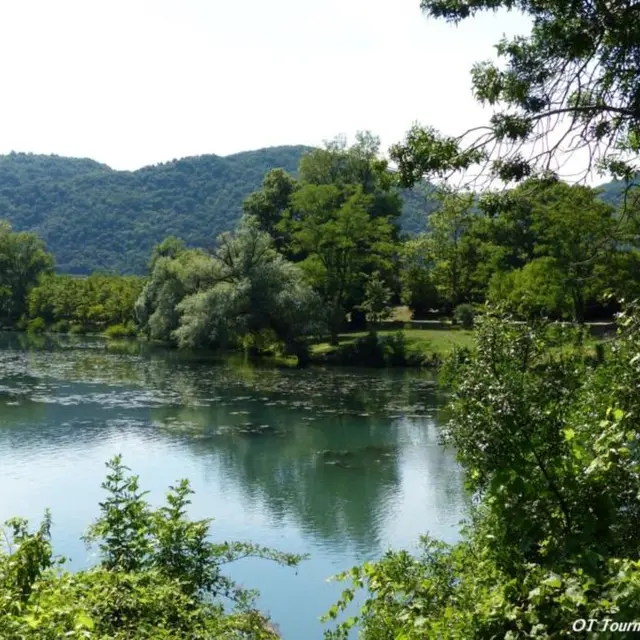Bassin des Musards