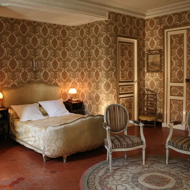 Le Chat Luthier - Montfort sur Argens