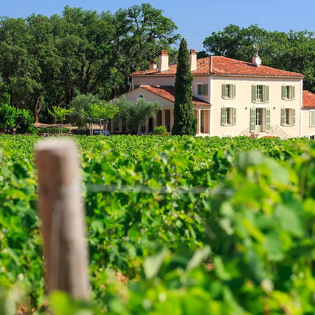 Château Réal d'or_Gonfaron