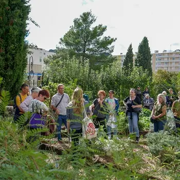 Atelier - Les plantes médicinales dépuratives_Alès