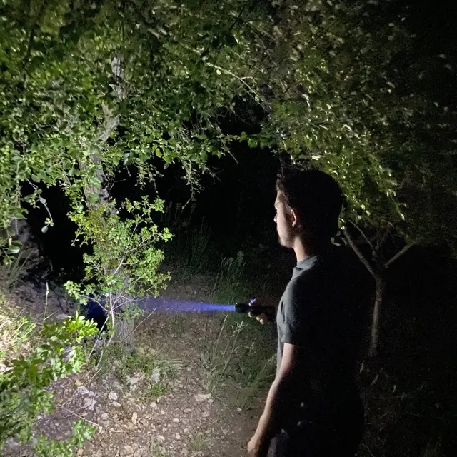 Balade nocturne : la vie secrète de la forêt_Collobrières