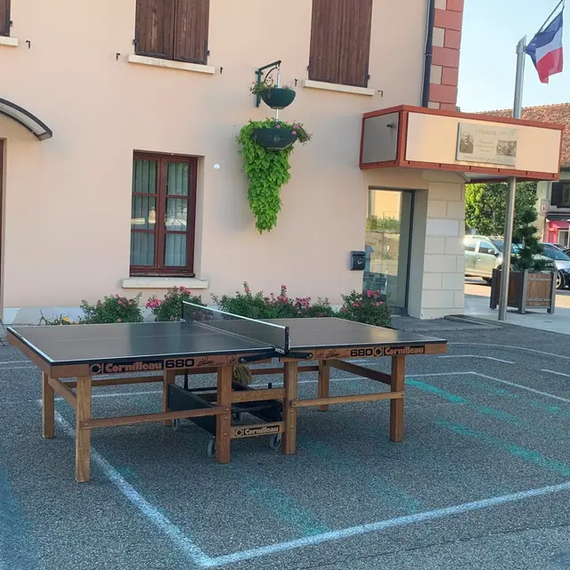 Animation tennis de table_Villages du lac de Paladru