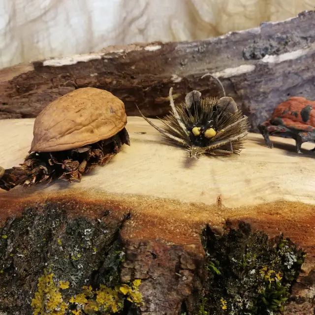 Les ENS fêtent la nature_Saint-Ismier