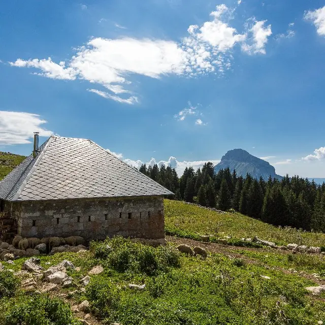 Col du Coq