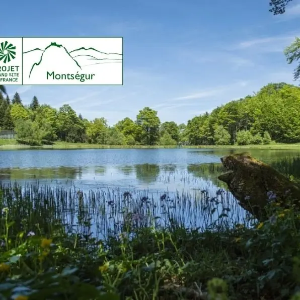 Tourbière de la Grenouillère, une plongée dans l'histoire_Montségur