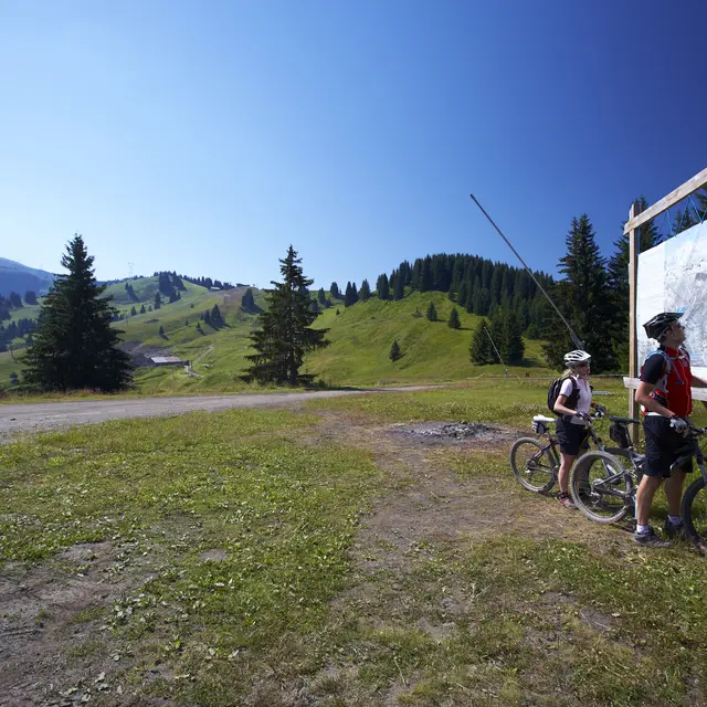 Photo été VTT Morillon