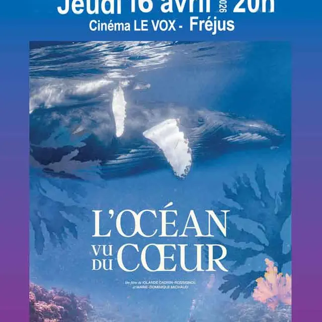 2026-04-09- Draguignan Terre.jpg