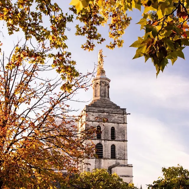 Clocher Notre-Dame des Doms