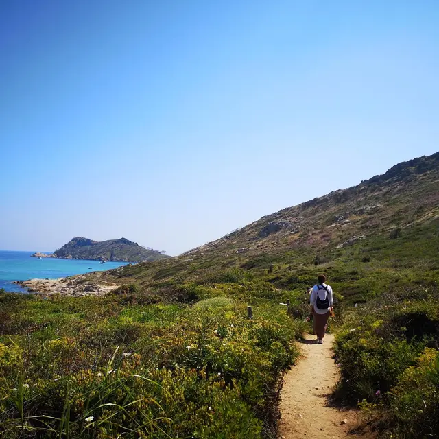 Balade accompagnée : A la découverte du cap Taillat_Ramatuelle