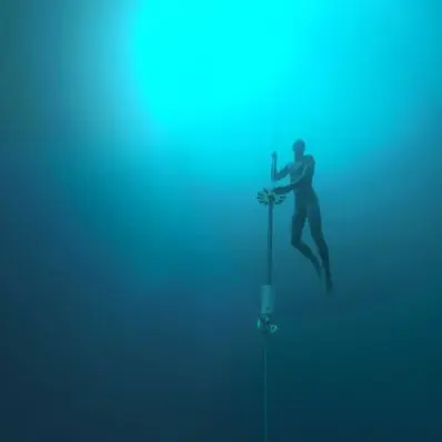 Réalité virtuelle: Dolphin Man_Vence