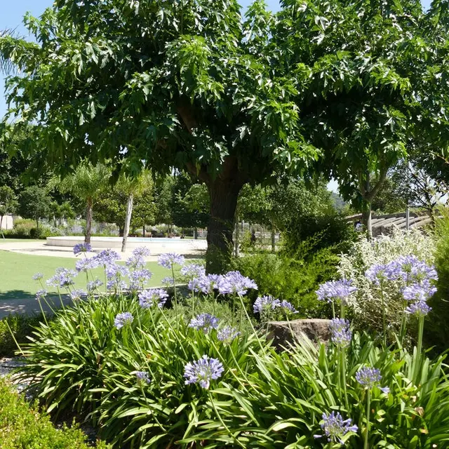 Parc du Béal_La Crau