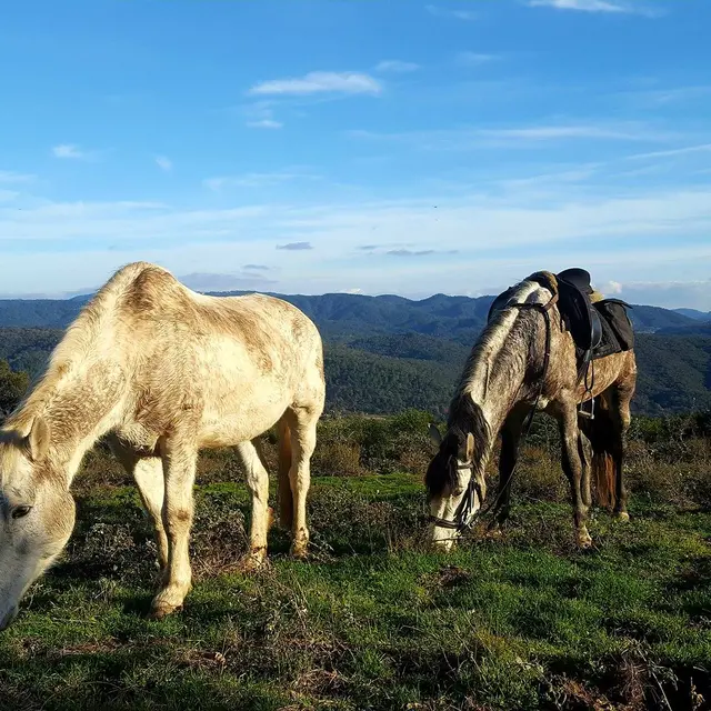 le ranch du lac