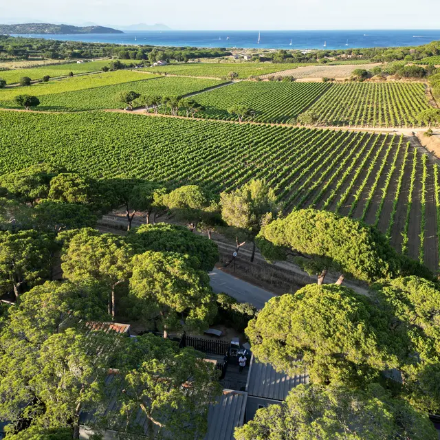 Domaine des Tournels