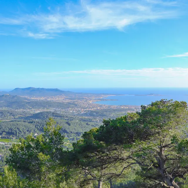Randonnée sur le sentier du Belvédère dans le Massif du Gros Cerveau_Sanary-sur-Mer