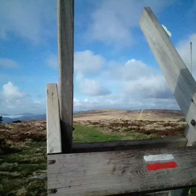 L'été est là ! Randonnée naturaliste sur les Hautes-chaumes_Roche