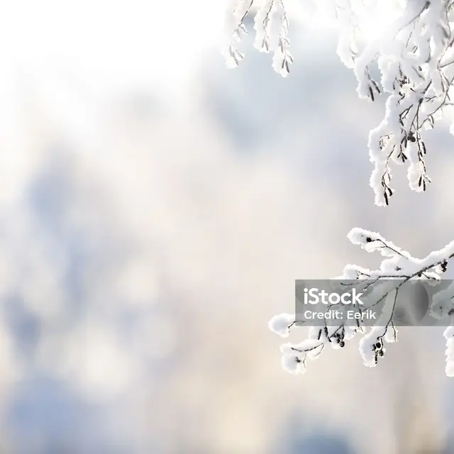 Exposition - « Noël et les autres fêtes de l'hiver »_Saint-Martin-Vésubie