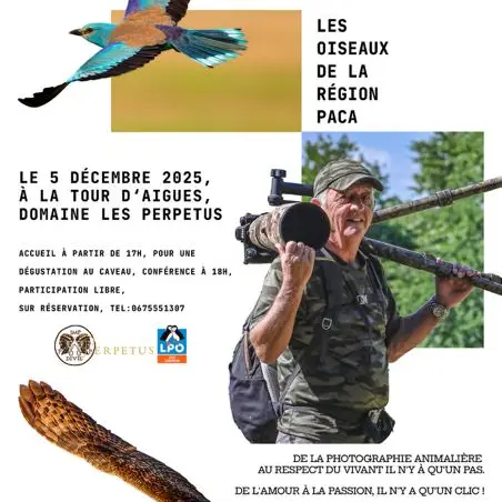 Conférence sur la Photo Animalière à La Tour d'Aigues_La Tour-d'Aigues