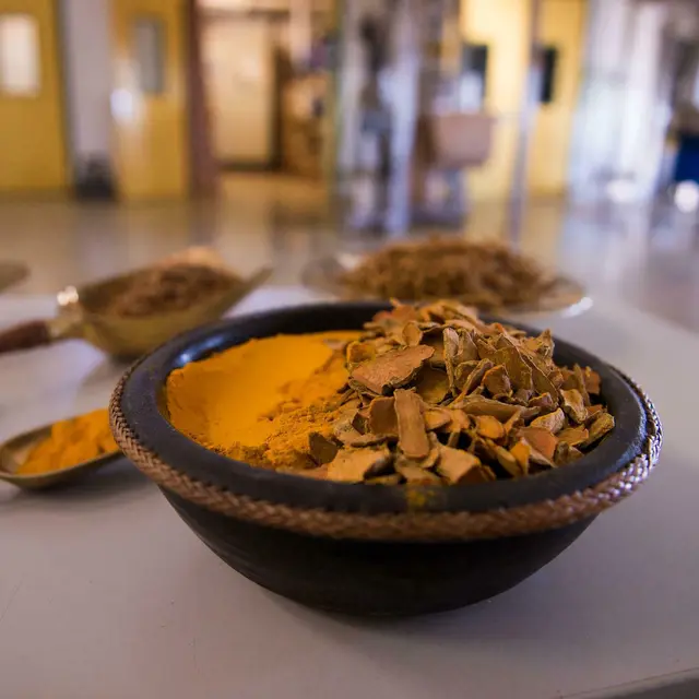 Les secrets des épices et infusions d’Arcadie