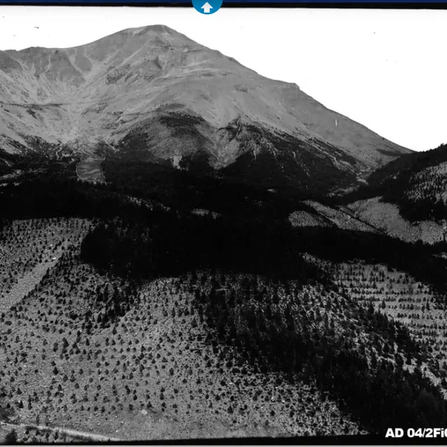 Conférence Mémoires de forêts