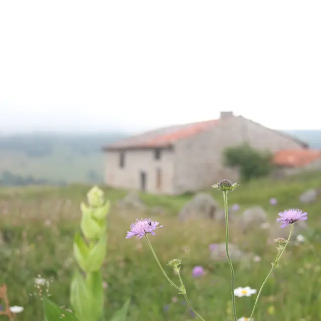 Balade commentée : l’architecture sur les Hautes-Chaumes - Journée européenne du patrimoine_Sauvain