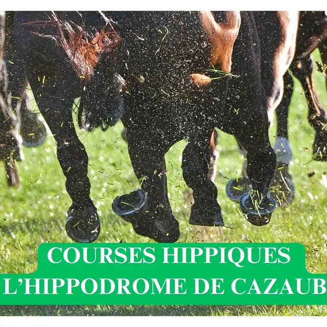 Courses Hippiques à l'hippodrome de Cazaubon_Cazaubon