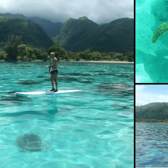 Karine Location - Tahiti Tourisme
