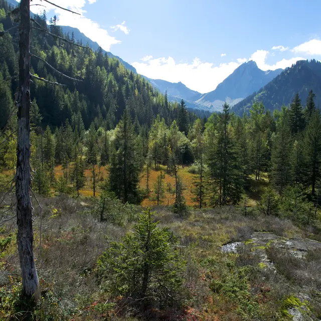 Tourbières de Sololieu