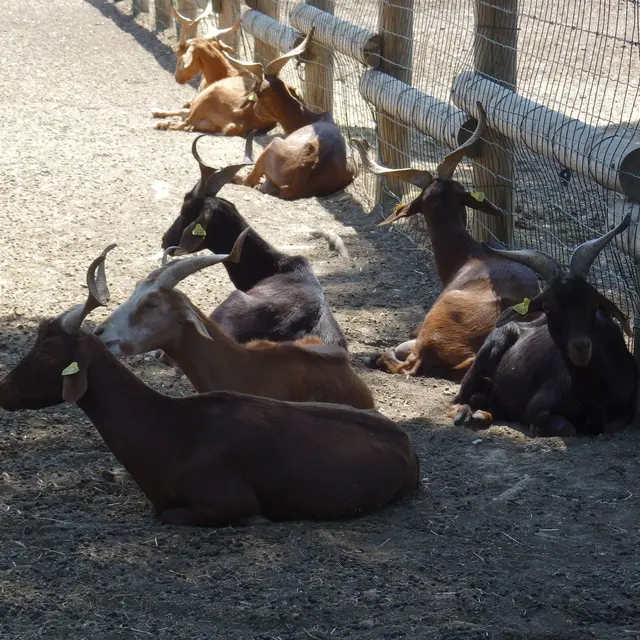 Ferme pédagogique du Parc de Figuerolles_Martigues