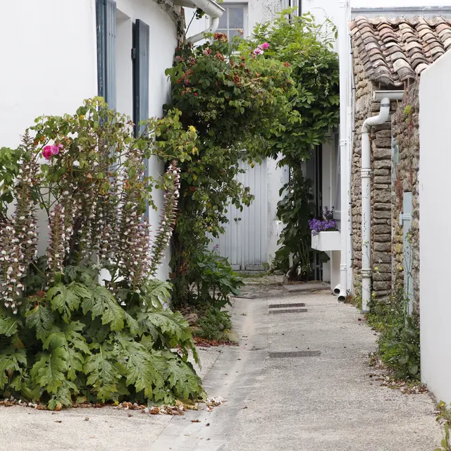 Balade accessible aux Portes-en-Ré_Les Portes-en-Ré