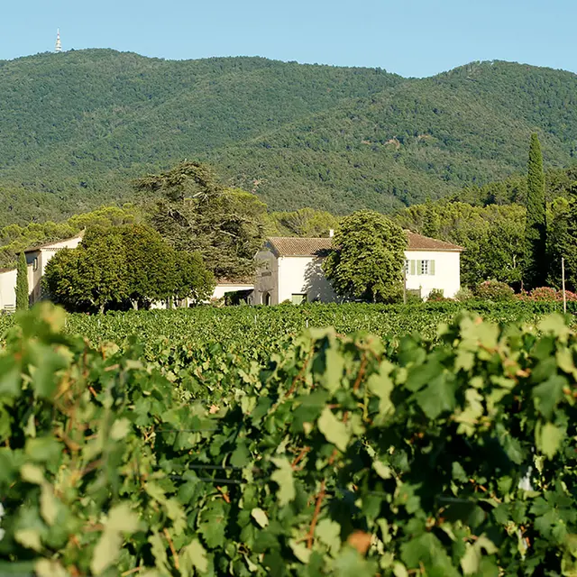 Domaine de Rimauresq_Pignans