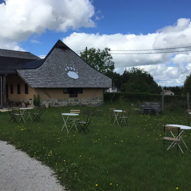 Terrasse paquerettes