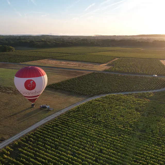Vol en montgolfière - Lever de soleil sur les vignes
