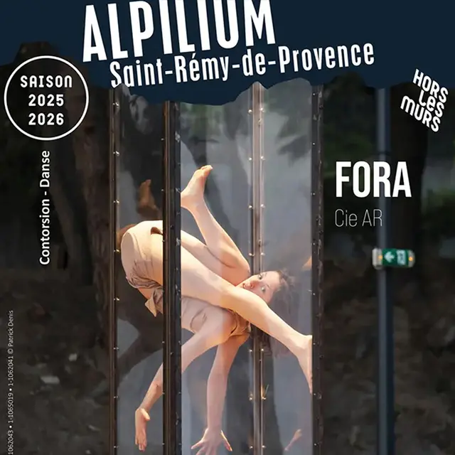 Alpilium : Fora_Saint-Rémy-de-Provence