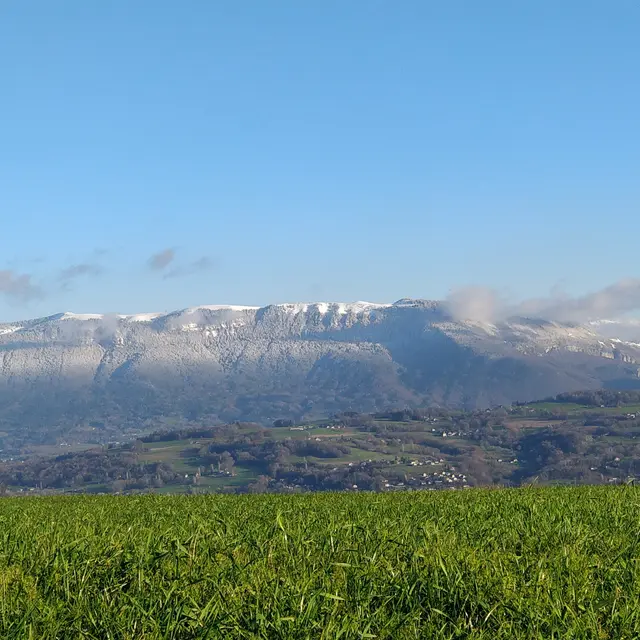 Circuit VTT Les postes à lait