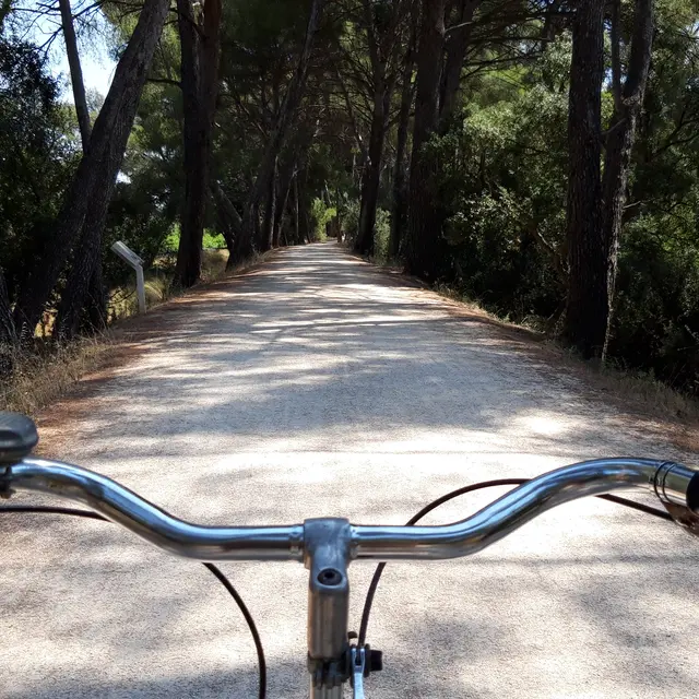 Chemins VTT / Gravel bike à La Londe les Maures