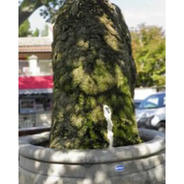 La fontaine pointue_Aureille